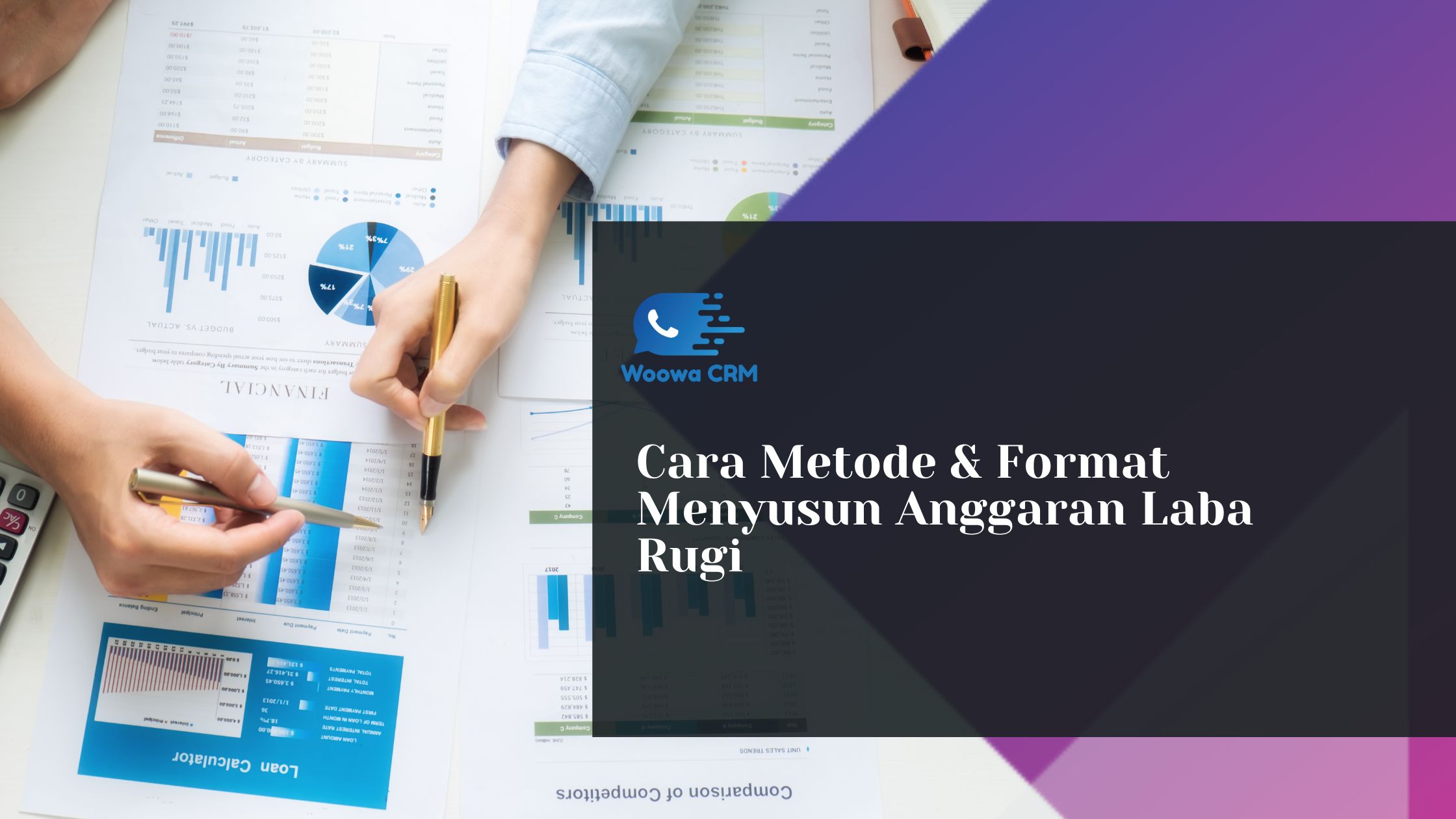Anggaran Laba Rugi